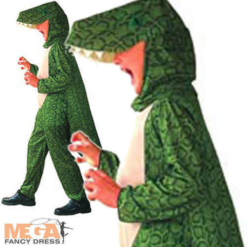 Dinosaur fancy dress boys - dress,